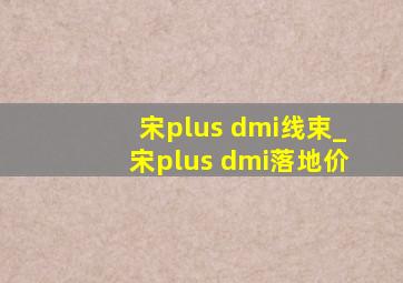 宋plus dmi线束_宋plus dmi落地价